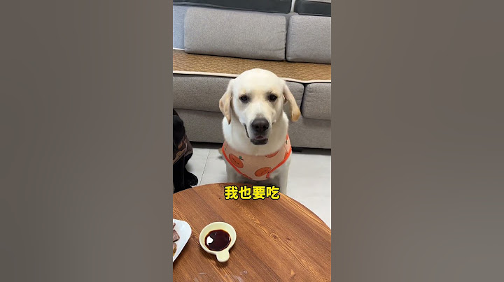 终于一碗水端平了，小黑吃啥我来啥 #狗狗的心思都写在脸上了 #狗子成精了 #把狗狗馋坏了