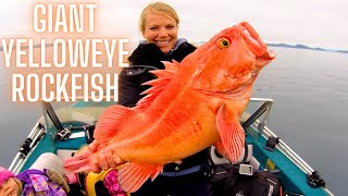 Huge Yelloweye Rockfish and Lingcod Port Hardy Bottom Fishing