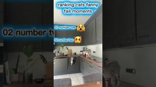 ranking cat fail moments