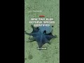Scientists identify new tiny blue octopus species