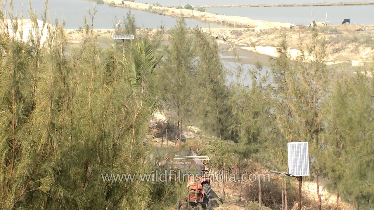 Scenic beauty of Frazergunj region in Kolkota