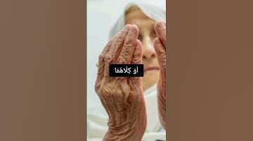 تلاوات خاشعة || حمزة بوديب || سورة إسراء 🤍💜 #حمزة_بوديب #تلاوة_خاشعة #تلاوة