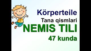 Nemis tilini o&#39;rganish. Tana qismlari