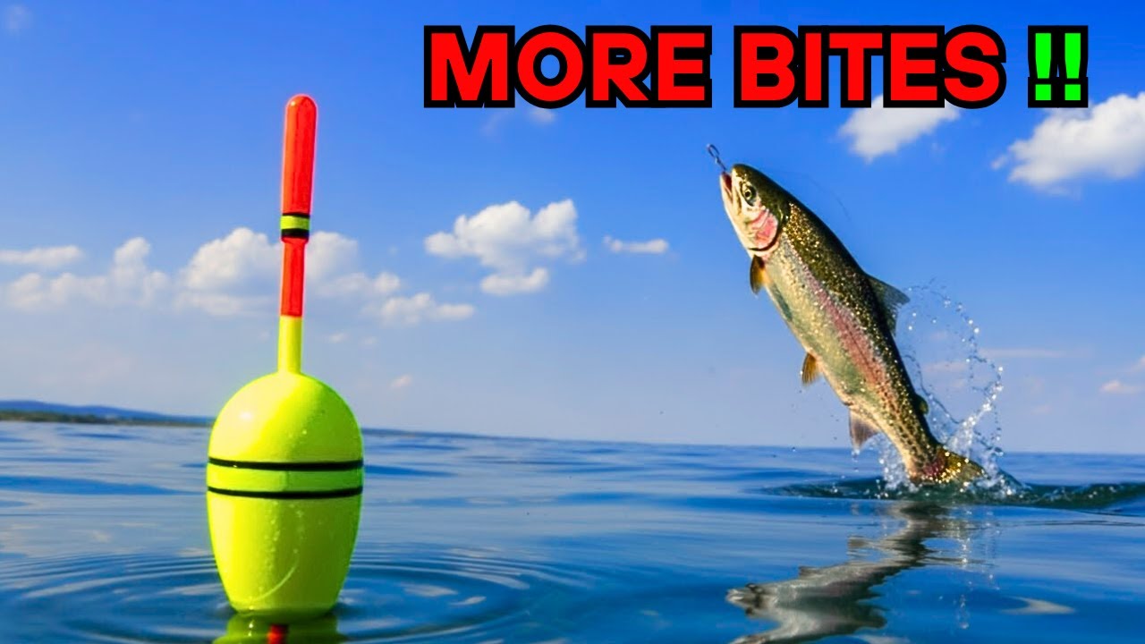 Two Hook Float Rig Setup 🎯 Catch More Fish with This Easy Rig!