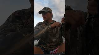 This Big B Crushed The Plopper