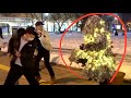 Illumination tree prank 2022