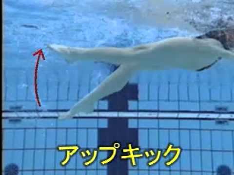 背泳ぎのキック Youtube 背泳ぎのキック Youtube