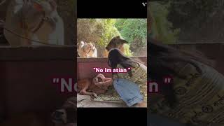 Download Lagu 😍🤩😊 #music #cover #nostalgia MP3