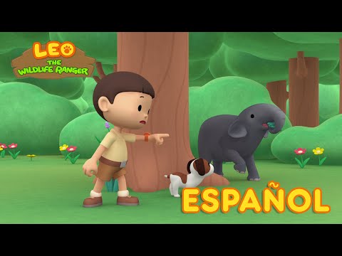Leo, El Explorador Episodio #122 - El Elefante Asiático (Español)