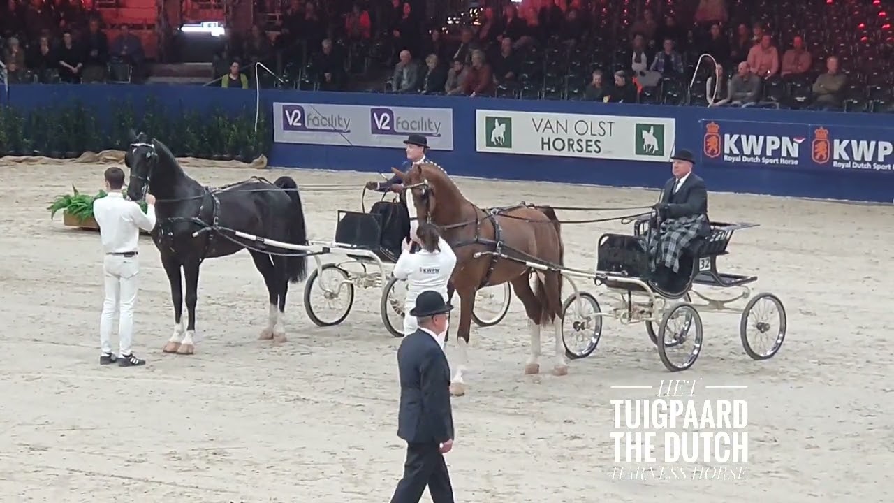 2024 Oregon Trofee, KWPN Stallion Show