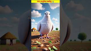 କୃଷକ ଆଉ ଛେଳି #motivation #shortvideos #stories #moralstories #gapa #youtube #shorts