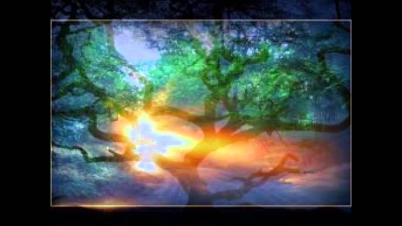 L Anima Mia Magnifica Il Signore Frisina
