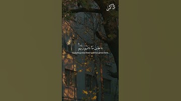الشيخ سعود الشريم - سورة الذاريات من آية 15 إلى 18  #zekr #القران #quran