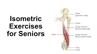 Isometric Exercises for Seniors