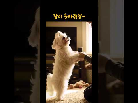 귀여운 동물~나랑 놀아줘잉~!!