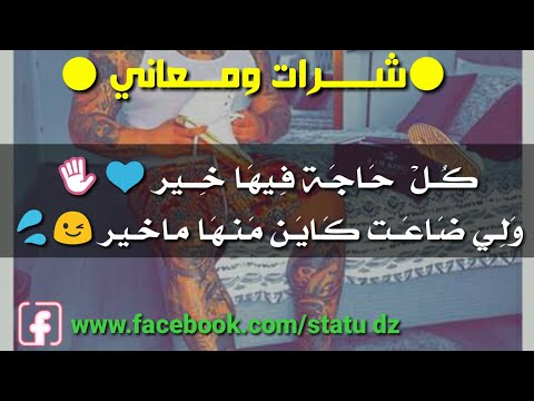 ستاتي شرات ومعاني  منوعات 