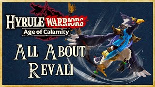 All About Revali Full Guide - Hyrule Warriors Age Of Calamity Warriors Dojo