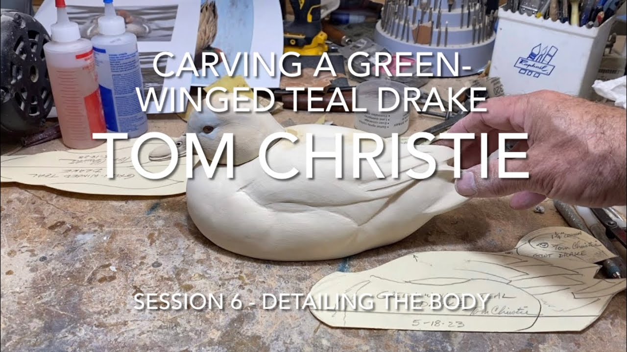 Green winged Teal Drake Session 6 - Detailing the Body