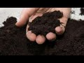 The easiest way to harvest your vermi compost اسهل طريقة لفرز الفيرمي كمبوست ودود الريد ويجلر