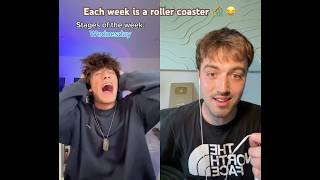 Each Week Is A Roller Coaster