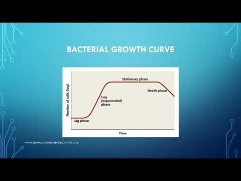 Video: Vilka är tillväxtkraven för bakterier?