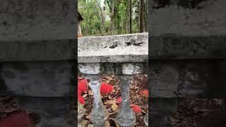 Bunga #ngroto #pencarikroto #sukoharjo #kroto #petualangan #wonogiri #sungai #tiktok #bunga