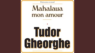 Vignette de la vidéo "Tudor Gheorghe - IA, GURITA, IA DE BEA"