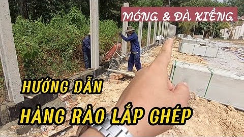 Hàng rào lắp ghép bê tông đag rất thịnh hành bởi chi phí và thời gian tối ưu