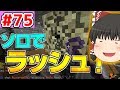 【ゆっくり実況】フェイズ３から始めるソロラッシュ！【殺って逝こうぜAnnihilation！】Part75【ANNI】