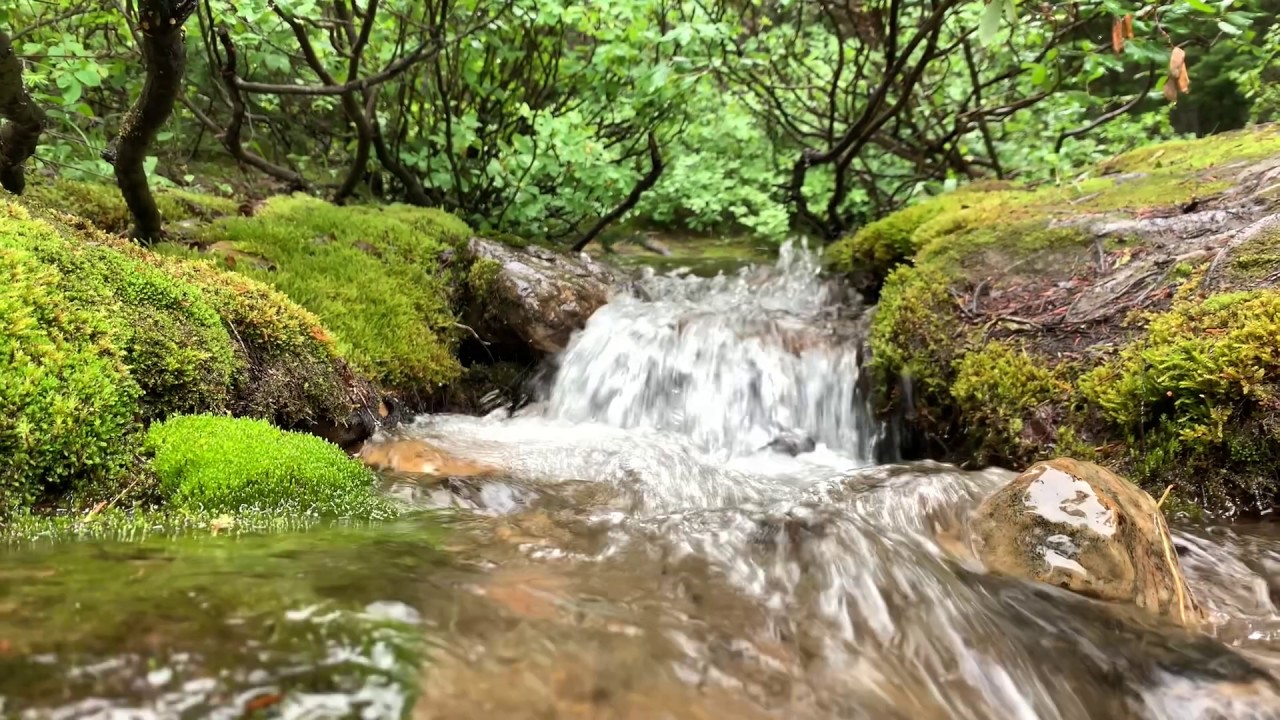 Philosophical voiceover - life after death, karma etc asmr