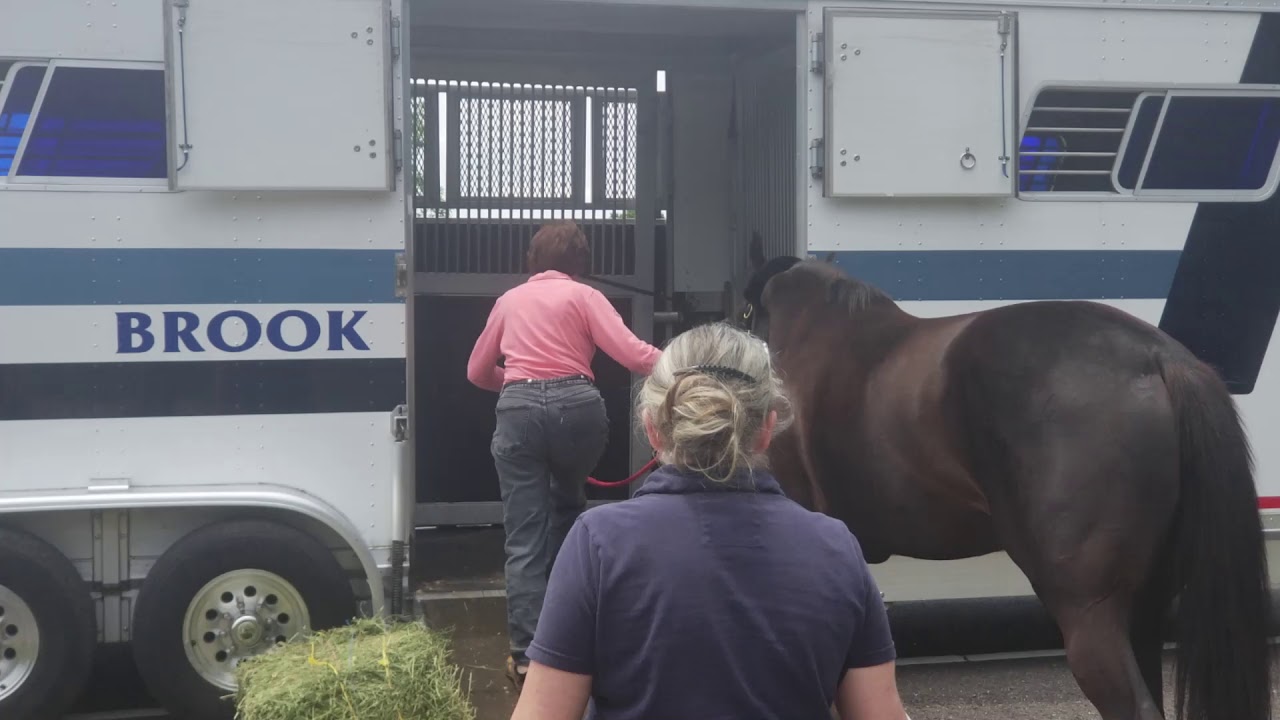 Made In Her Image  Leaves Bits & Bytes Farm