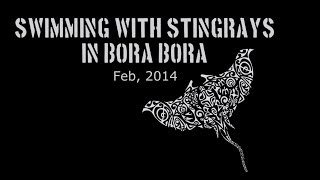 Swimming with the Stingrays in Bora Bora
