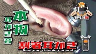 【ASMR】本物の耳かき音 割箸でミミカキを作る Real Ear Cleaning Sound /TASCAM DR-07MK2/no talking