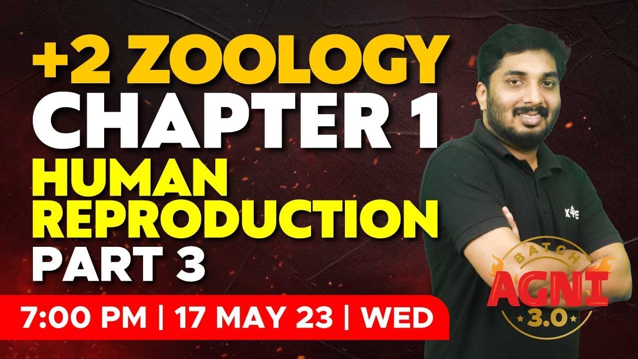 Plus Two Zoology Chapter 1 Human Reproduction Part 3 XYLEM Plus plus-two-zoology-chapter-1-human-reproduction-part-3-xylem-plus