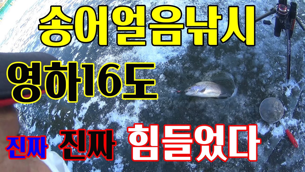 얼음낚시 숏바이트 해결법[설악낚시터 극한의 수온]
