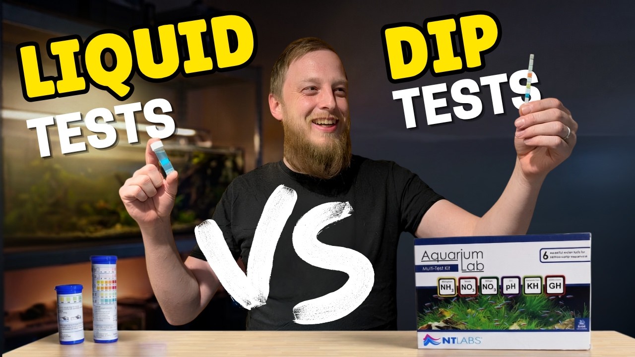 Your Fish Could Be Sick Because You're Testing Water Wrong
