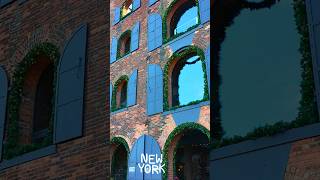 Dumbo Brooklyn ✨ NYC Walking Tour 🚶‍♂️ Brooklyn Bridge 🗽 and Timeout NY Rooftop Views 🌇