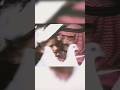 ننظم اللولو بذهب ونحقق آمال الشعب خادم الحرمين الشريفين الملك فهد بن عبدالعزيز رحمه الله