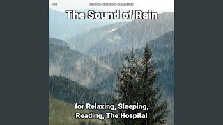 The Sound of Rain for Relaxing and Sleeping Pt. 26