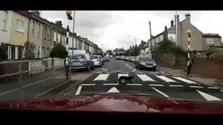 #cat #using #crosswalk
