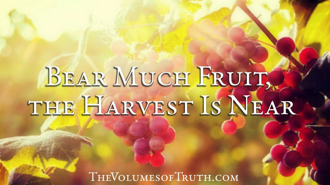 BEAR MUCH FRUIT, THE HARVEST IS NEAR "For My bounty is plentiful