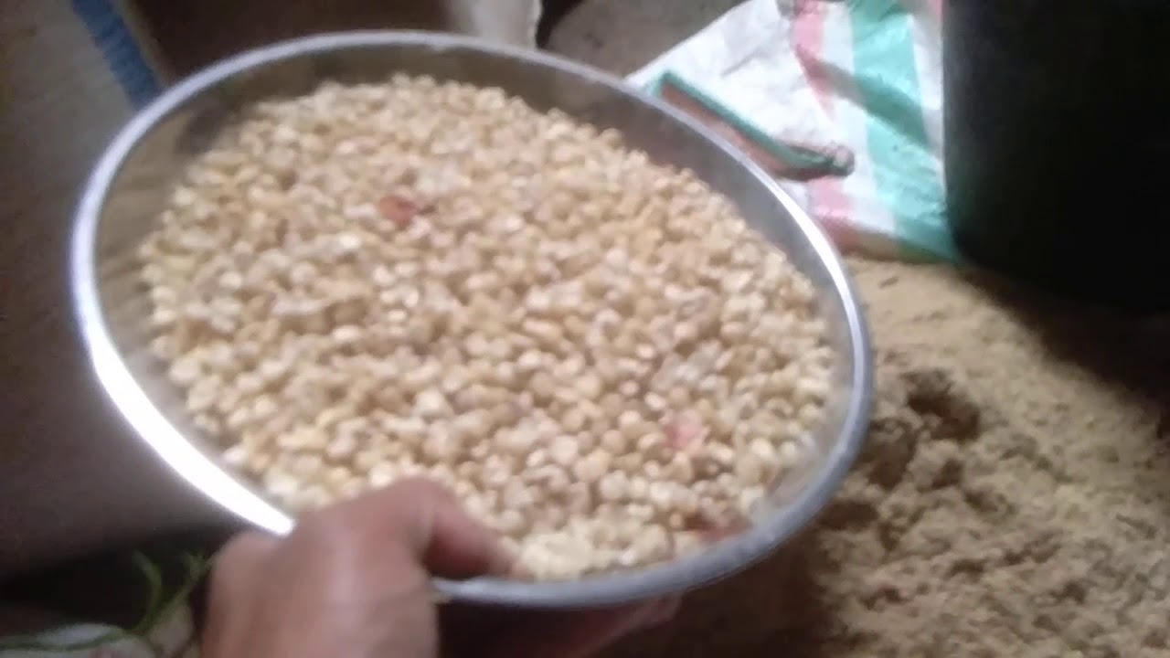 Cara campur pakan itik petelur 99% ampuh 