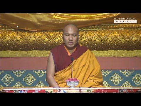 Video DÂNG ĐÈN CÚNG PHẬT cùng Đức KARMAPA XVII Ogyen Trinley... - youtube