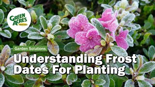 What Is Your Last Frost Date (Learn How)