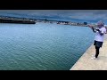 【爆釣】閖上漁港でこんなに魚がいたなんてっ！釣りモニ初！【宮城県】