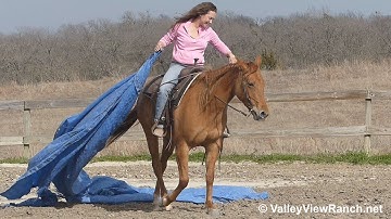 Miss Pep A Lena***For info, price, etc., go to our website***ValleyViewRanch.net