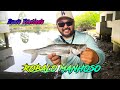 ROBALO MANHOSO NÃO RESISTIU A ISCA - PESCARIA ULTRALIGHT em Itapema-SC