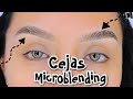 CEJAS TIPO MICROBLENDING