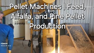Discover Turkey's Best Pellet Machines | Feed, Alfalfa, and Pine Pellet Production