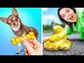 COOL GADGETS AND TRICKS FOR DOG OWNERS || Smart Pet Hacks